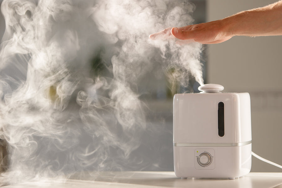 House Humidifier Pros and Cons