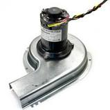 CARRIER 48GS400649 DRAFT INDUCERS