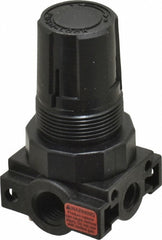 PARKER Parker R25-02A Miniature Air Regulator 1/4 Npt 25 Psi