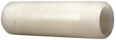 NIBCO Nibco CE03820 Pvdf Threaded Pipe Nipple Sch 80 3/4 in