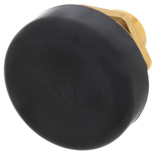 WATTS Watts 0556030 Series LFN36 1/2 in. Brass Vacuum Relief Valve 15 psi