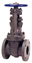 NIBCO Nibco 39923696458 Gate Valve 2-1/2 in Flanged 125 Lb