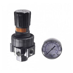 PARKER WATTS FLUID AIR 06R318AC GAS VALVES
