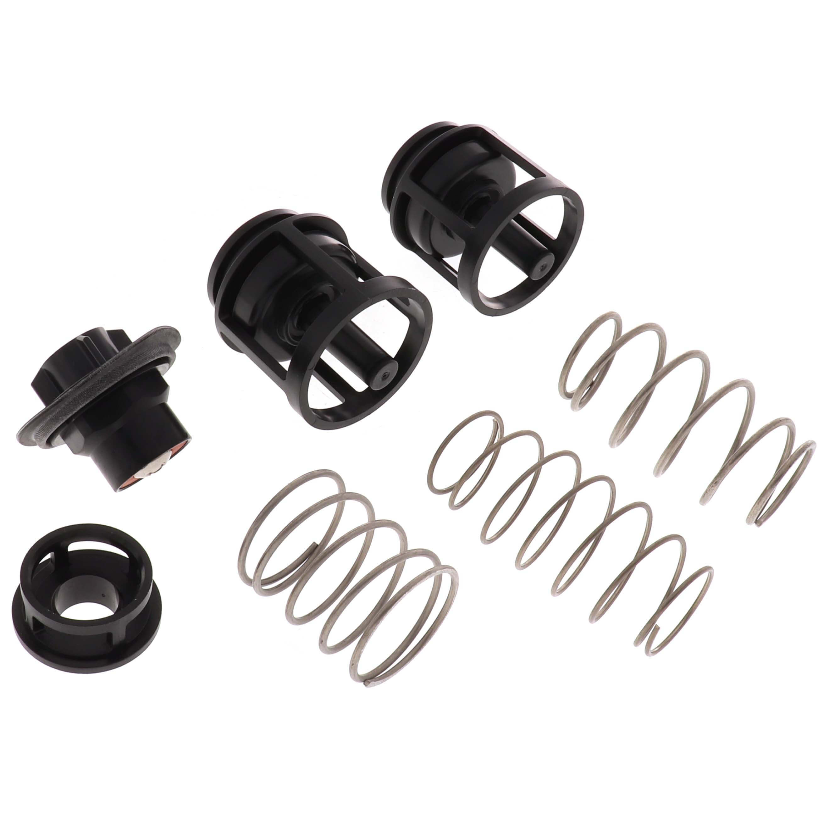WATTS Watts 0888169 Series RK-919 1 in Repair Kit