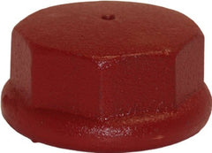 ASHLAND Ashland Water Group DC125 Drive Cap 1.25 Inch Cast Iron