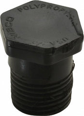 NIBCO Nibco CC03550 Hex Plug 1/2 in Polypropylene Sch 80 Mpt