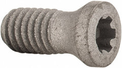 SECO TOOLS Seco 02457030 Lock Screw TP8 Torx Plus M3 Drilling