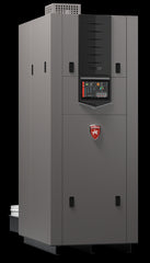 LOCHINVAR 100066940 PILOT ASSEMBLIES