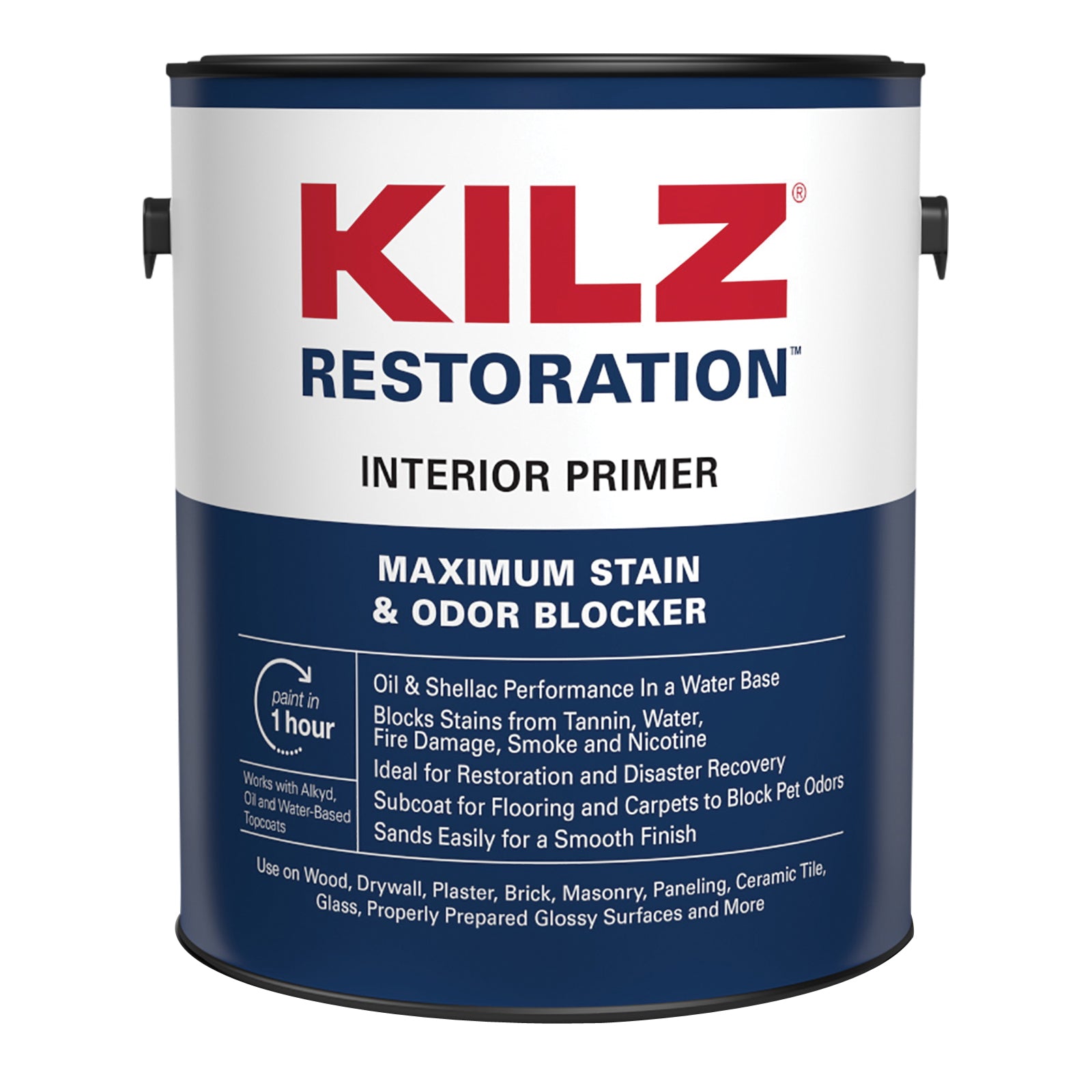 TRUE VALUE L200211 PAINT SUPPLIES