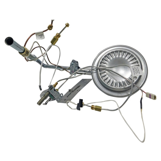 LOCHINVAR 100135116 BURNER ASSEMBLIES