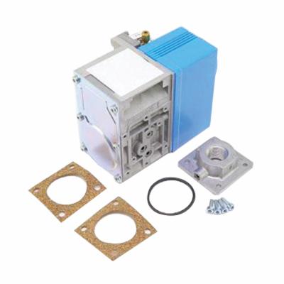 LOCHINVAR 100171923 NATURAL GAS CONVERSION KITS