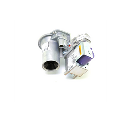 CENTURY MOTORS 100172007 GAS VALVES