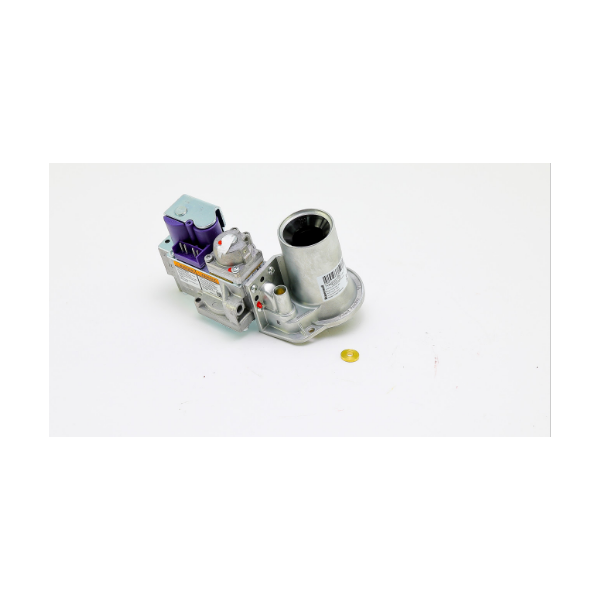 CENTURY MOTORS 100172013 GAS VALVES