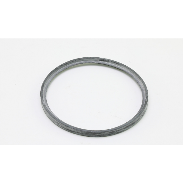 LOCHINVAR 100208104 GASKETS