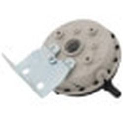 LOCHINVAR 100166122 FLOW SWITCHES