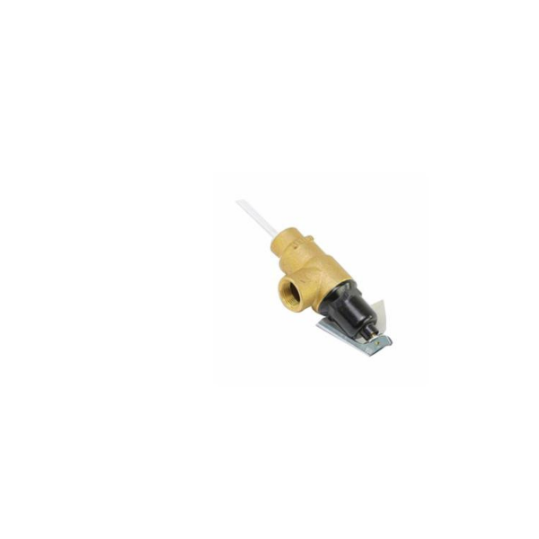 CENTURY MOTORS 100208445 RELIEF VALVES