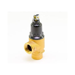 CENTURY MOTORS 100208451 RELIEF VALVES