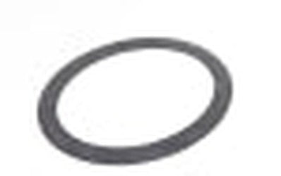 LOCHINVAR 100208766 GASKETS AND SEALS