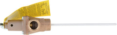 LOCHINVAR 100288438 RELIEF VALVES
