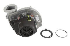 AMERICAN WATER HEATER 100330187 BLOWER HOUSING & ASSEMBLIES