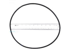 PENTAIR 35505-1273 O-RINGS & GASKETS