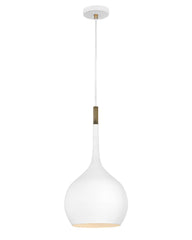 HINKLEY LIGHTING Hinkley 4457CI Ziggy Transitional Medium Pendant 1 Lamp 100W 120V