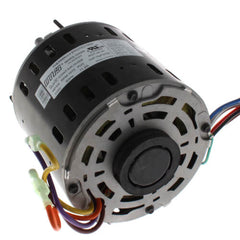 10589-1.jpg