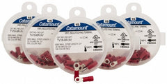 THOMAS & BETTS Thomas Betts TV18-6R-XV Ring Terminal 22-16 Awg Crimp 6 Stud