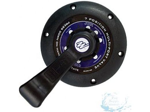 WATERWAY PLASTICS Waterway Plastics 600-9600B Multi-Port Lid Assembly