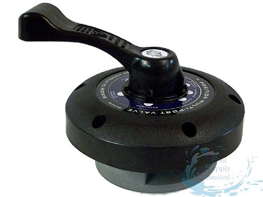 WATERWAY PLASTICS Waterway Plastics 600-9600B Multi-Port Lid Assembly