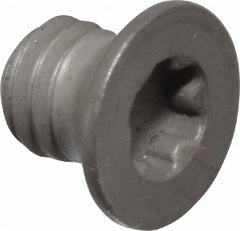 SECO TOOLS Seco 02440263 Lock Screw TP15 Torx Plus M4 Thread Milling