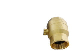 CENTURY MOTORS 599-10328 BALL VALVES