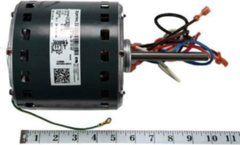GENTEQ Genteq 10759311S 1HP Blower Motor, Multi Speed PSC, 115V, 1Ph, 1075rpm