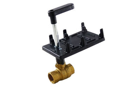 CENTURY MOTORS 599-10311 BALL VALVES