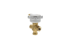 CENTURY MOTORS 258-02069 GAS VALVES