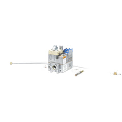 ALLPOINTS 541173 GAS VALVES