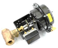 JOHNSON CONTROLS VG7243NT+822C01 GLOBE VALVES