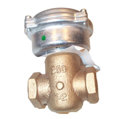 CENTURY MOTORS 257-02030 CONTROL VALVES