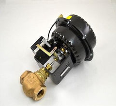 JOHNSON CONTROLS VG7243RM+843C01 GLOBE VALVES