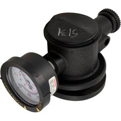 PENTAIR 261003 POOL SWITCHES