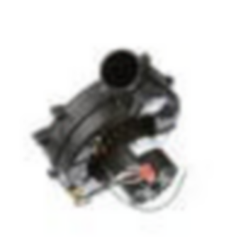 GENTEQ MOTORS B2833001S BELTS