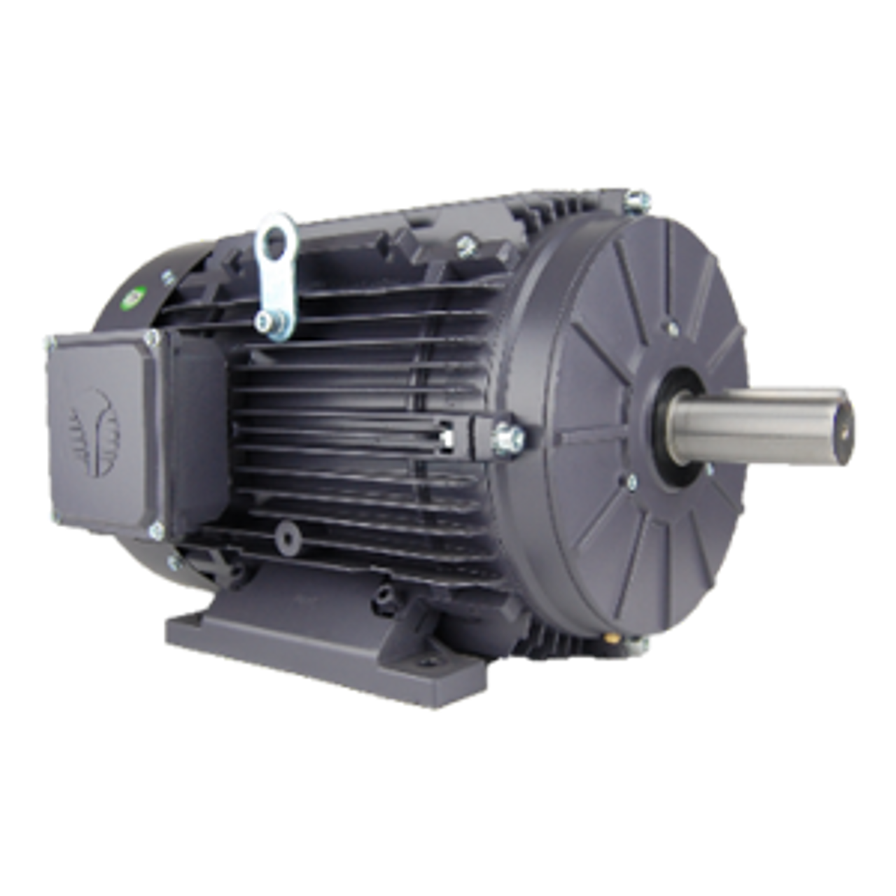 MARATHON MOTORS MGT1513 GENERAL PURPOSE MOTORS