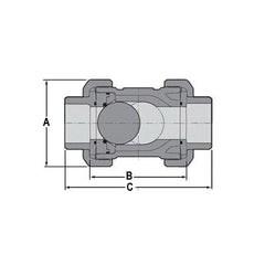 Spears 2222-025 PVC Schedule 80 True Union Ball Check Valve, 150 psi, 2-1/2 in