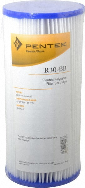 PENTAIR Pentair 155101-43 Pleated Cartridge Filter 30 Micron