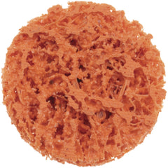 NORTON Norton 66623313920 Quick-change Disc 1 in Ceramic Alumina