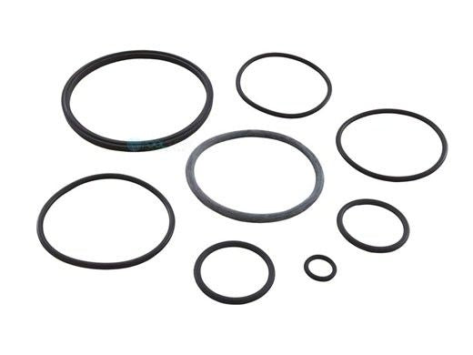 ZODIAC R0502500 O-RINGS & GASKETS