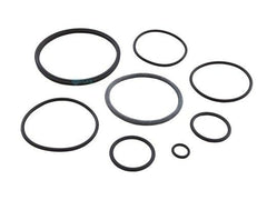 ZODIAC R0502500 O-RINGS & GASKETS