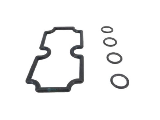 PENTAIR Pentair 474973 MasterTemp 125 Coil Tubesheet Sealing O-Ring