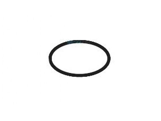 PENTAIR 754000350 O-RINGS & GASKETS