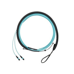 PANDUIT Panduit F9TRP5NQSSNF004 OS2 12-fiber Mpo Harness